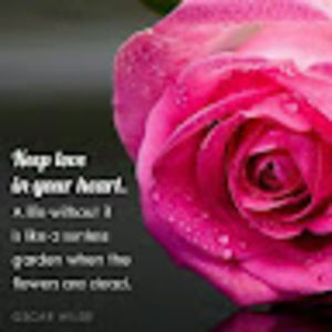 Meet your Posher, Ellie